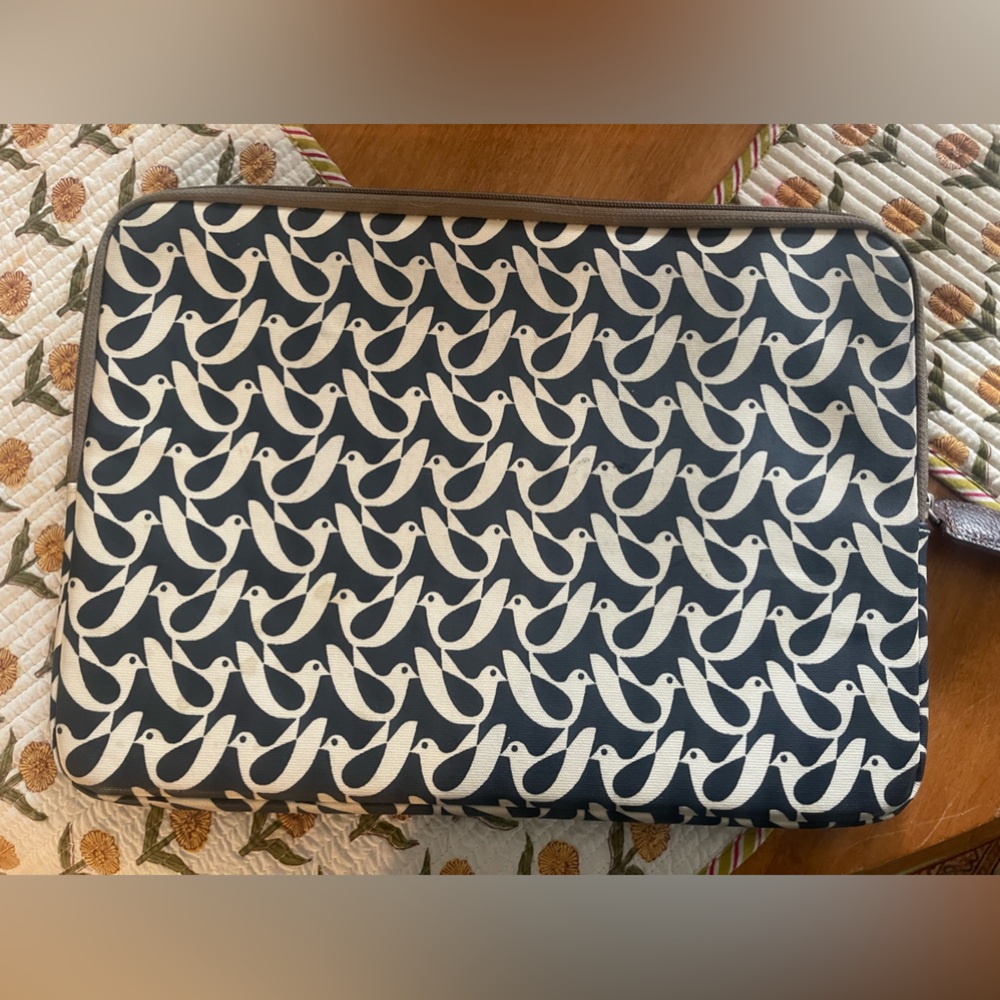 Laptop case, great shape